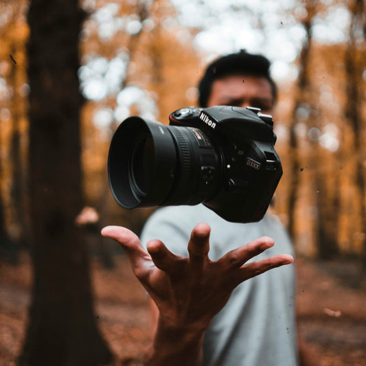 10 Premium Royalty Free Photos