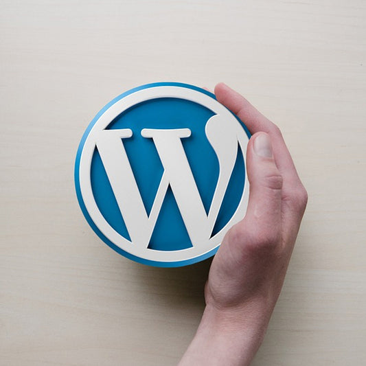 3 Wordpress themes